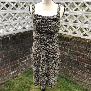 New Ann Taylor Brown Animal Print Dress Sz 8 NWOT